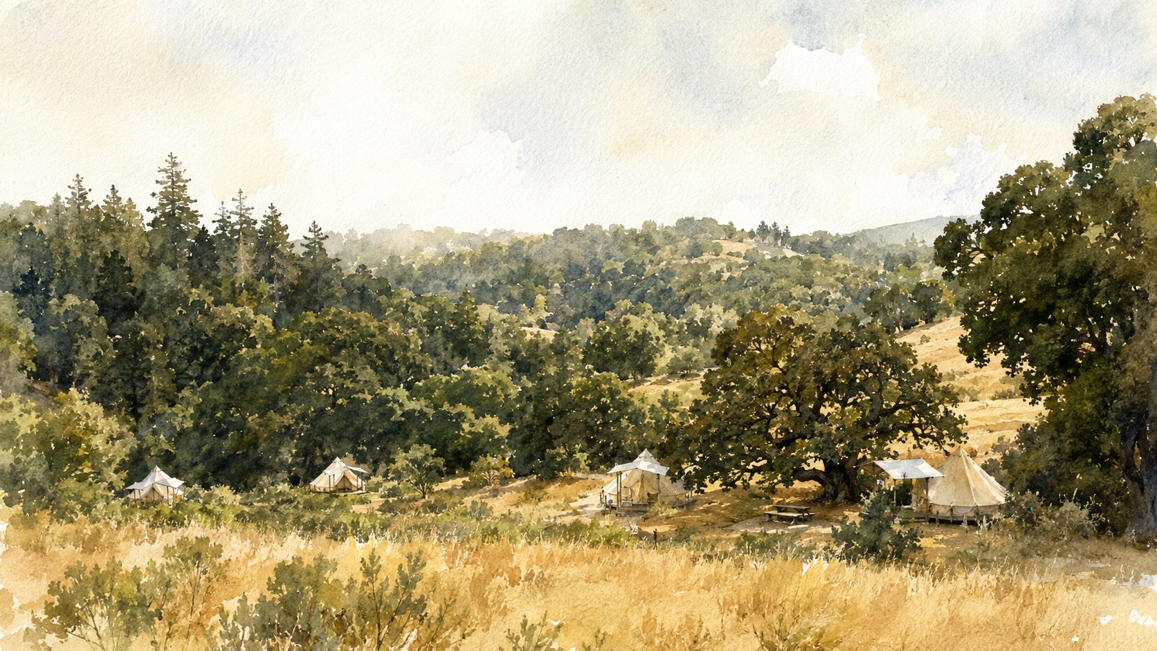 Watercolour of canvas tents scattered among oaks and golden hills